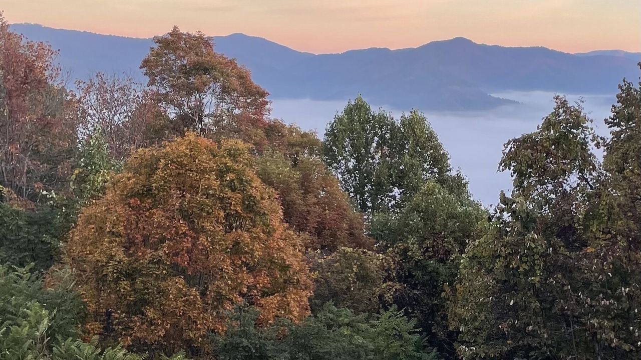 Photo of Outdoor in Bakersville