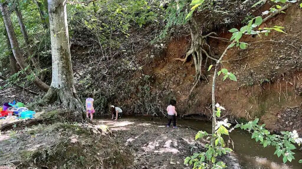 Photo of Others in Mocksville