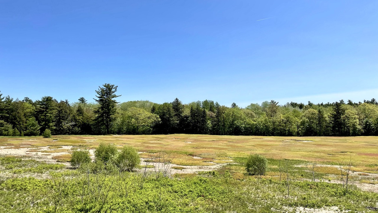 Photo of Others in Blue Hill