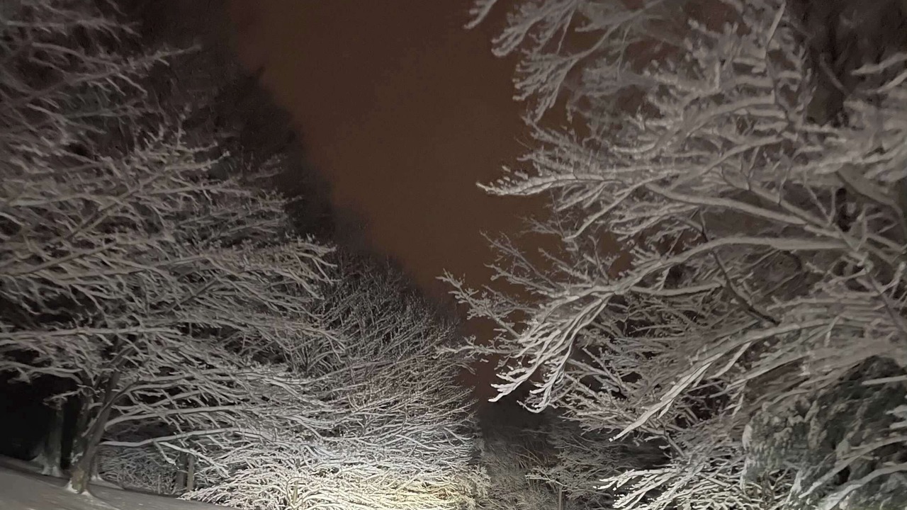 Photo of Others in Warren