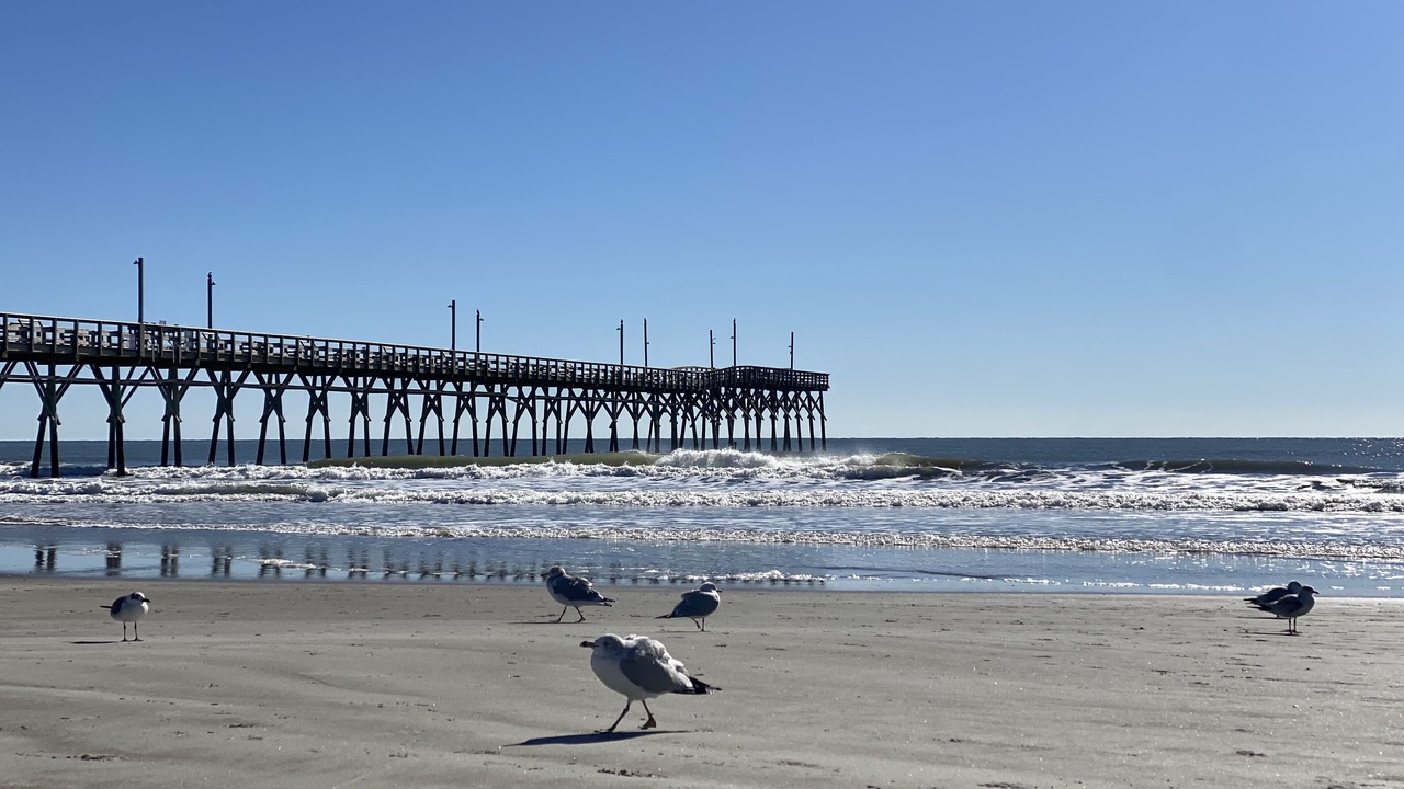Photo of Others in Sea Trail