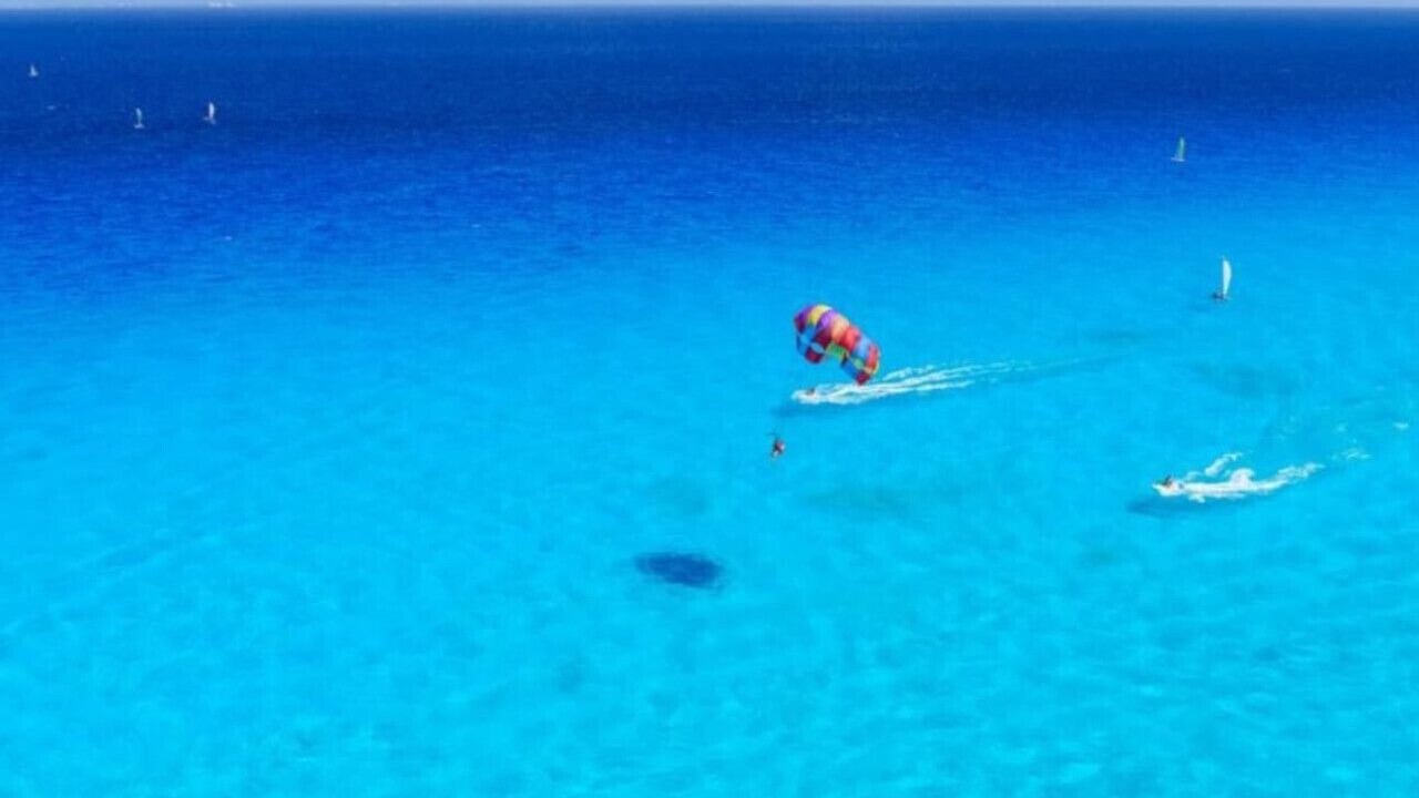 Photo of Others in Siesta Key