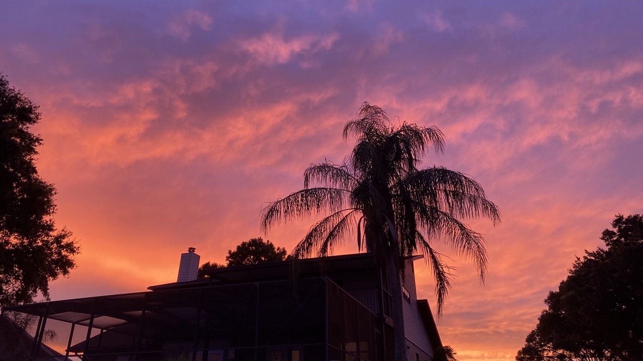 Photo of Outdoor in Auburndale