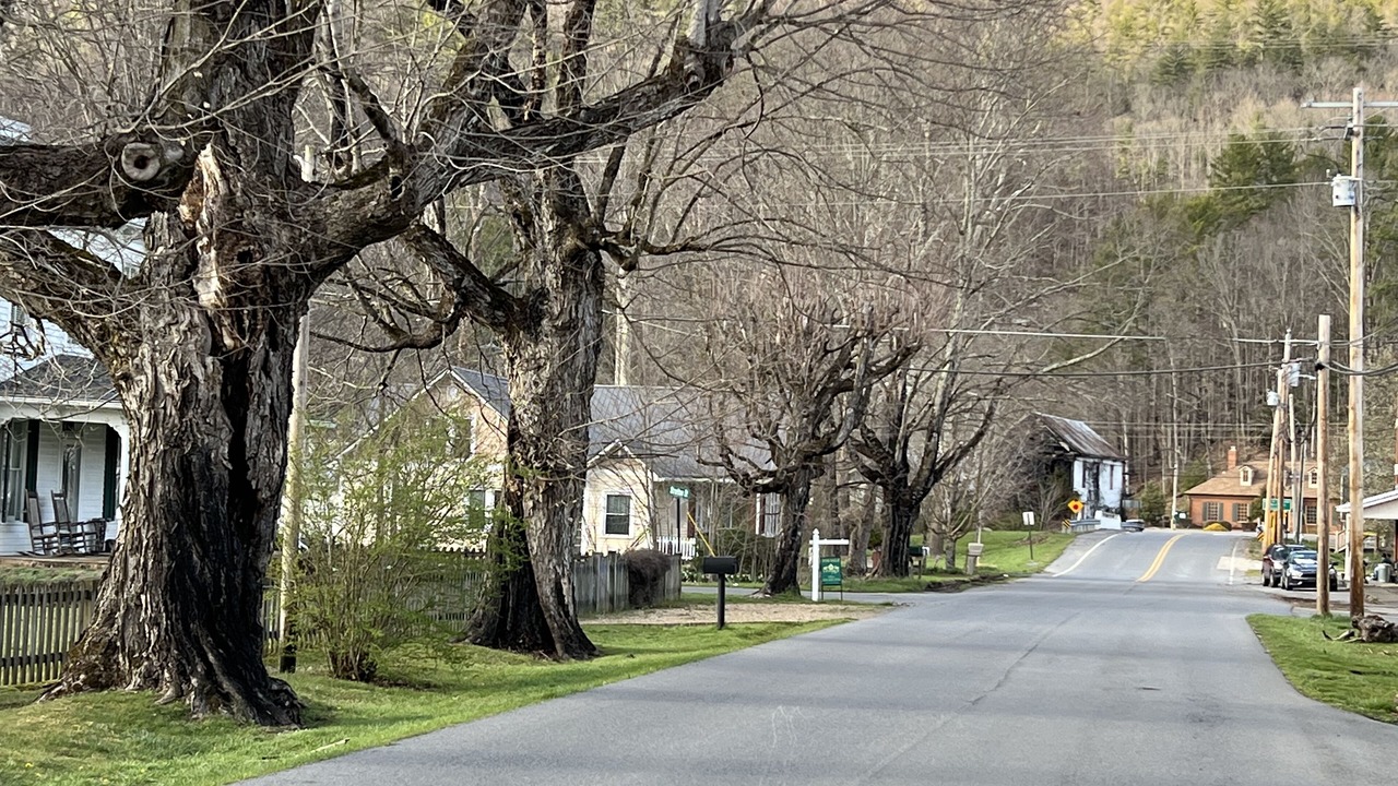 Photo of Others in Roan Mountain