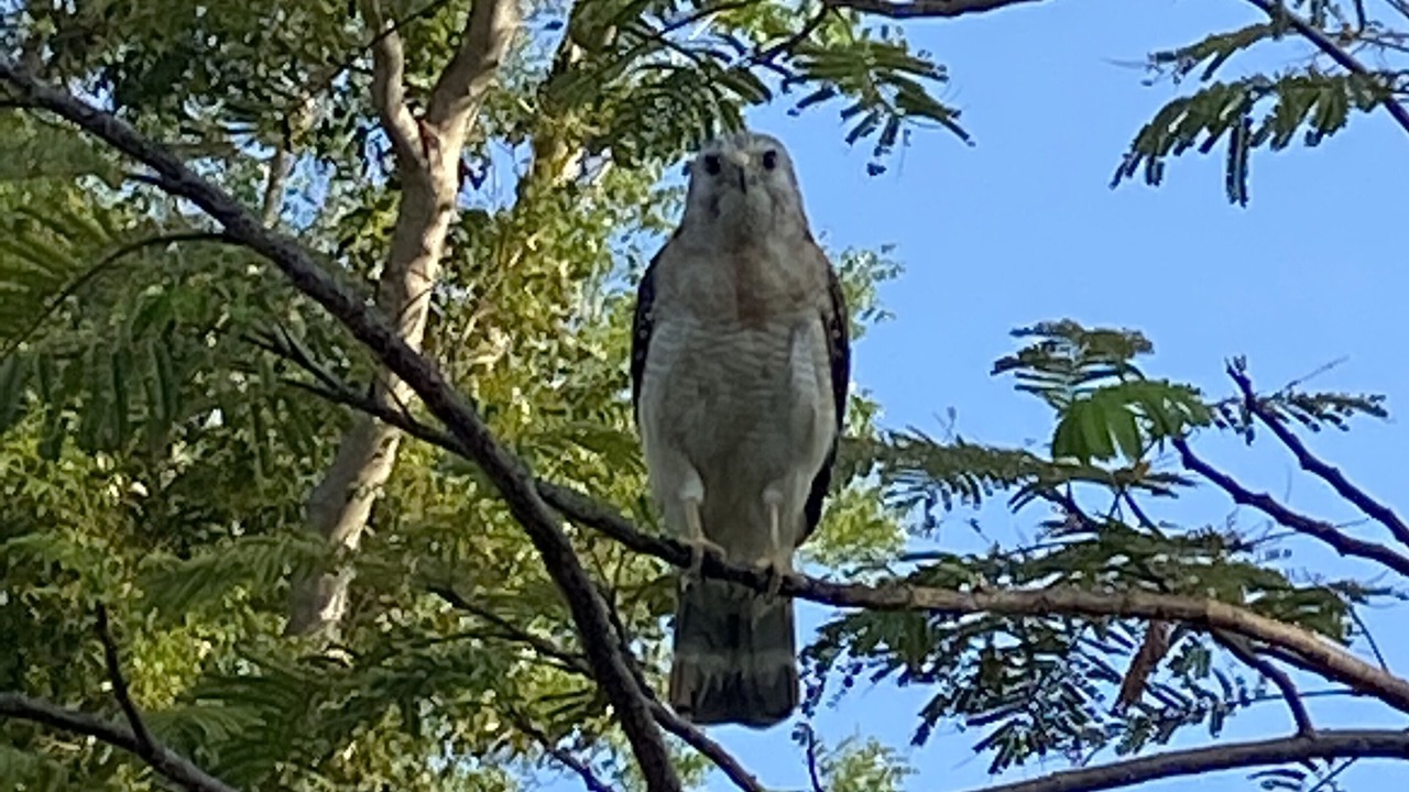 Photo of Others in Sugarloaf Key