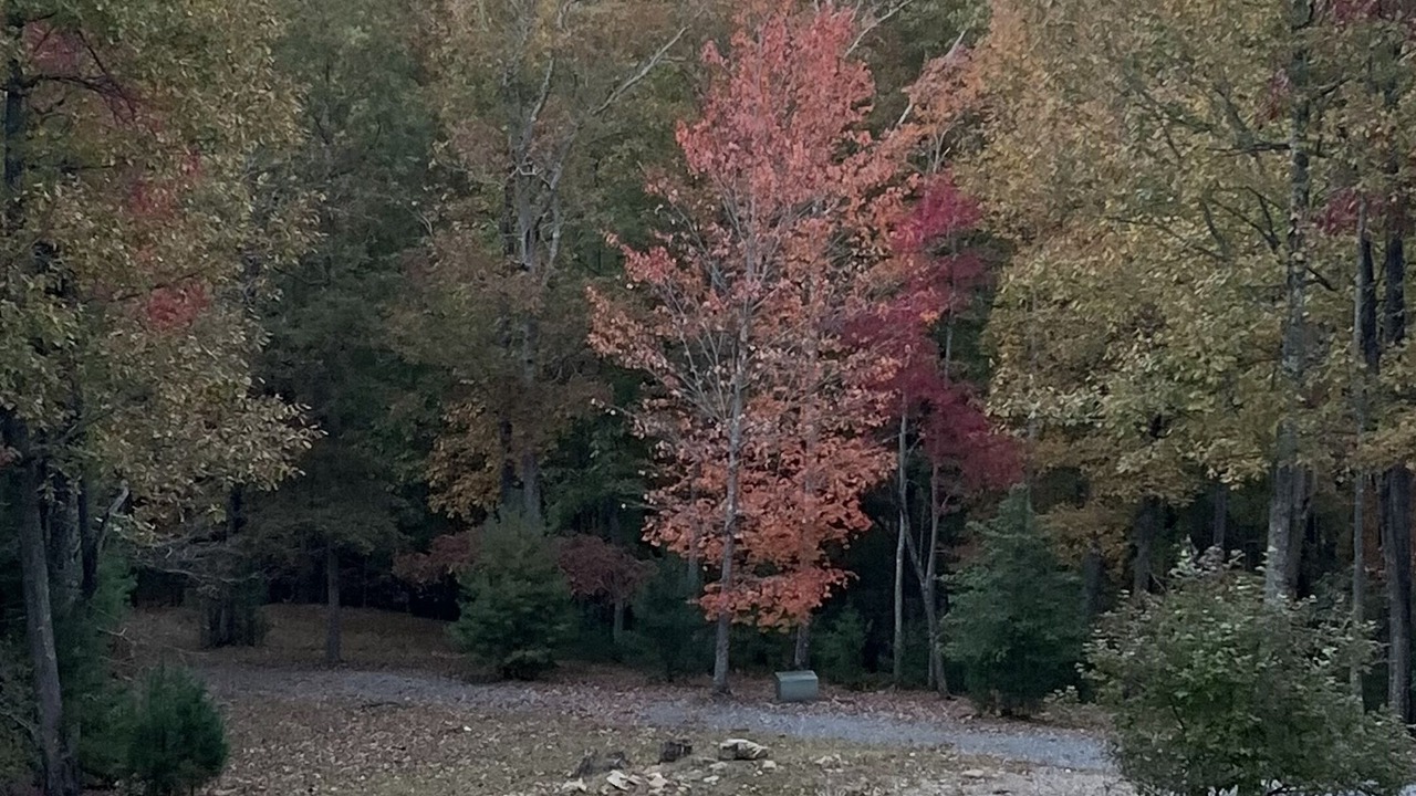 Photo of Outdoor in Raccoon Ridge