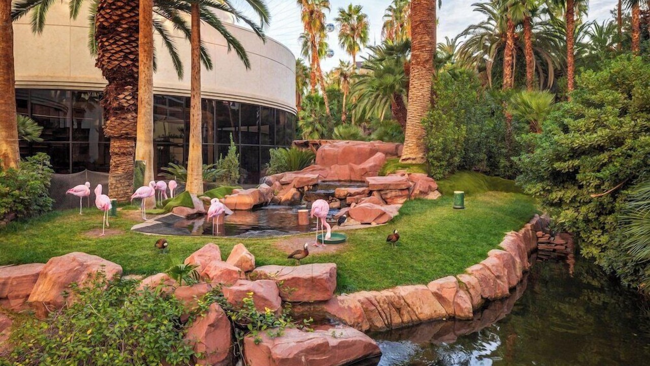 Photo of Outdoor in Las Vegas Strip