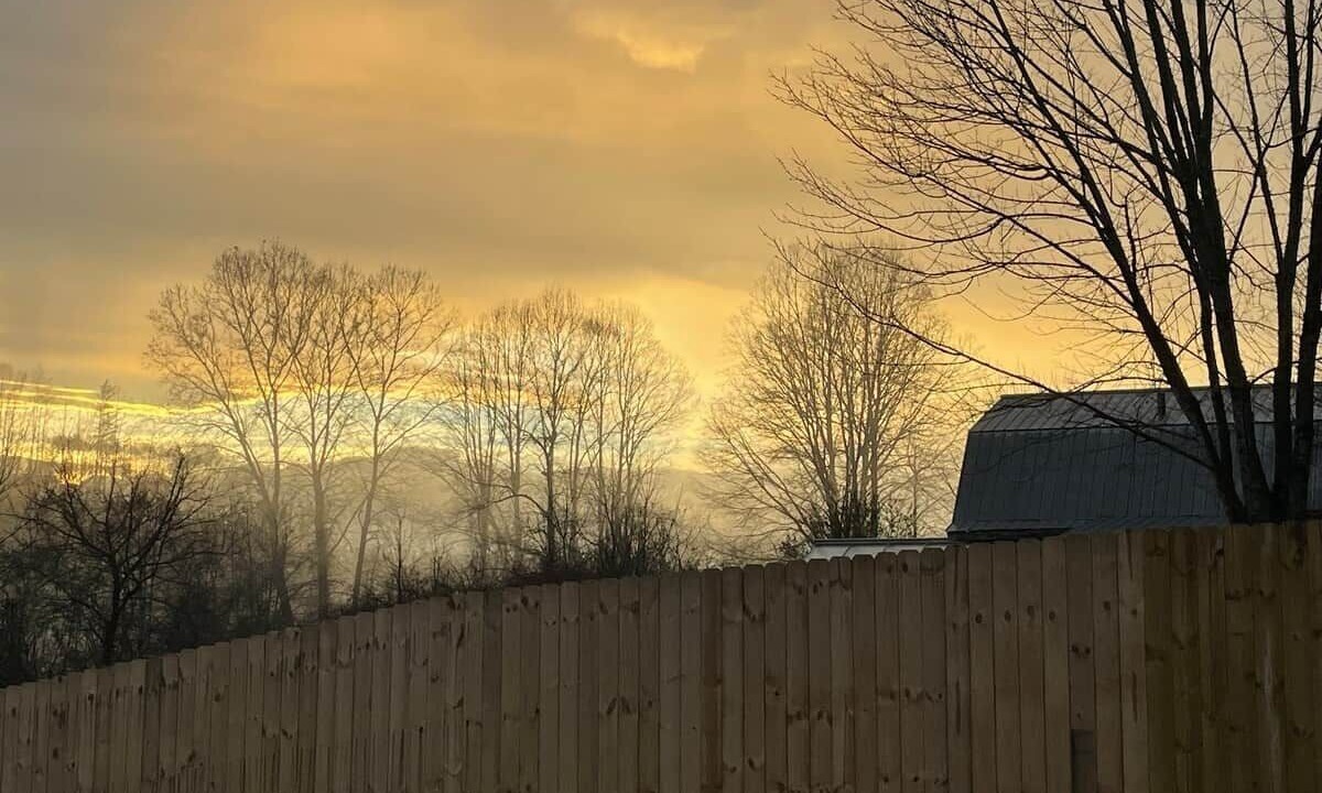 Photo of Outdoor in Fletcher