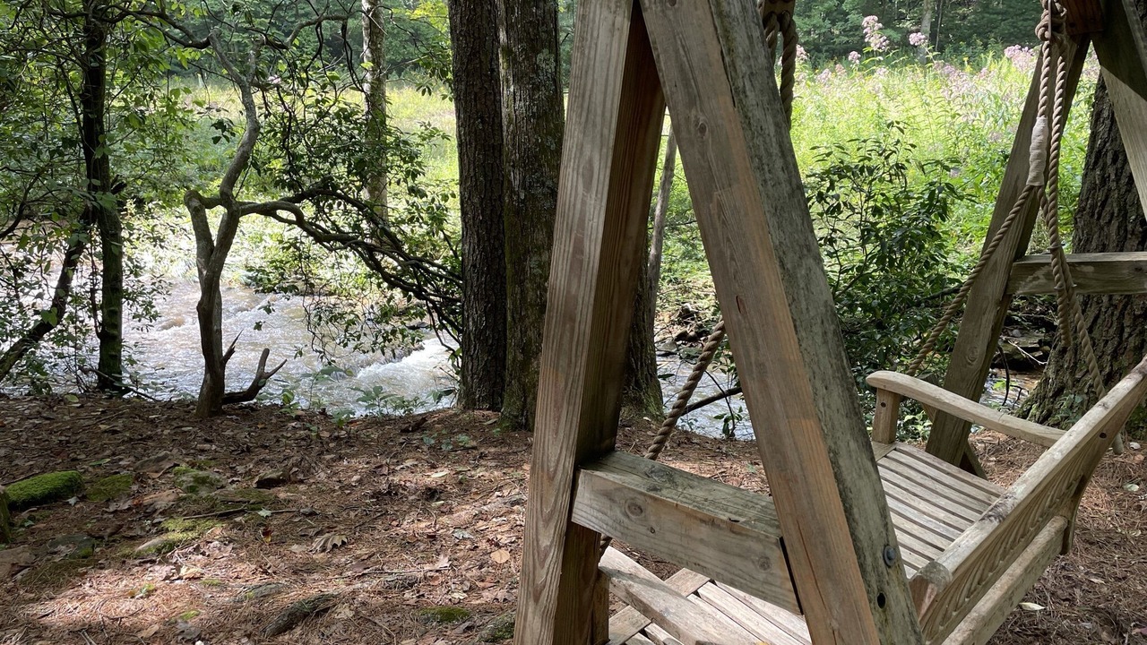Photo of Others in Cherry Log