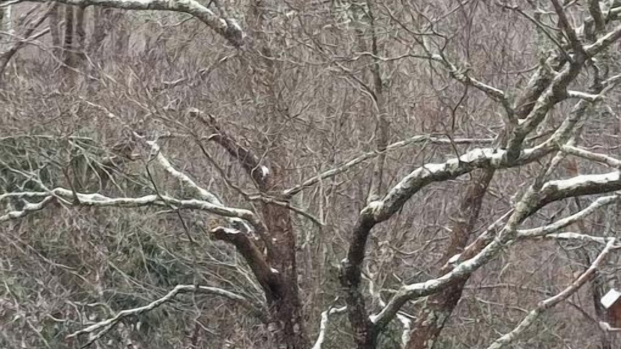 Photo of Others in Green Mountain
