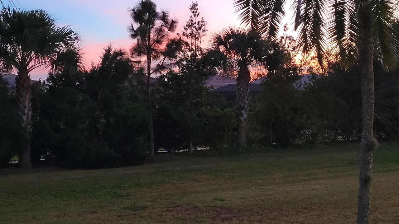 Photo of Outdoor in Sarasota