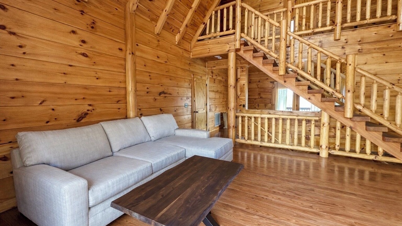 Photo of Livingroom in Dobson
