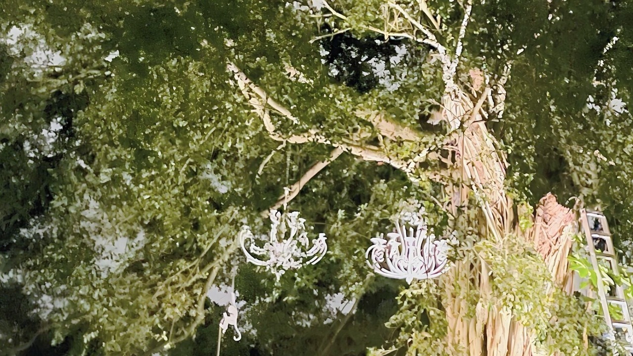 Photo of Others in Boca Raton