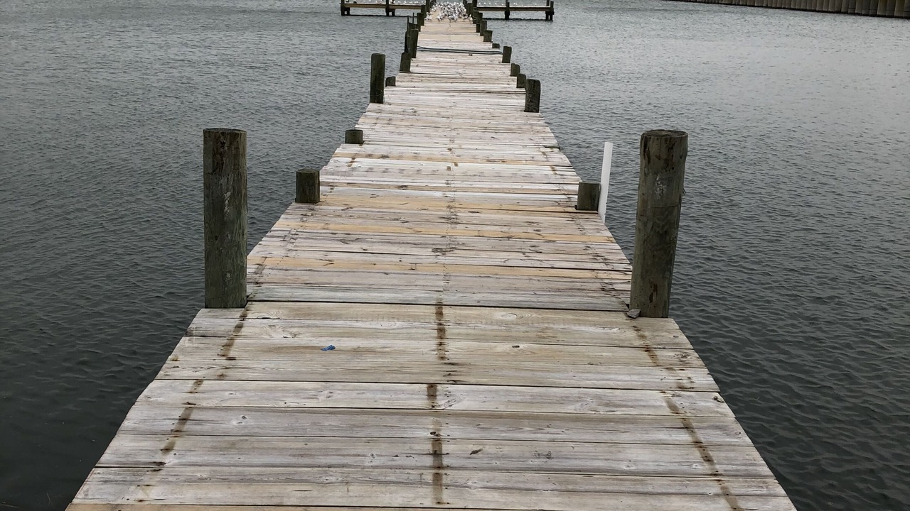 Photo of Others in Willoughby Spit