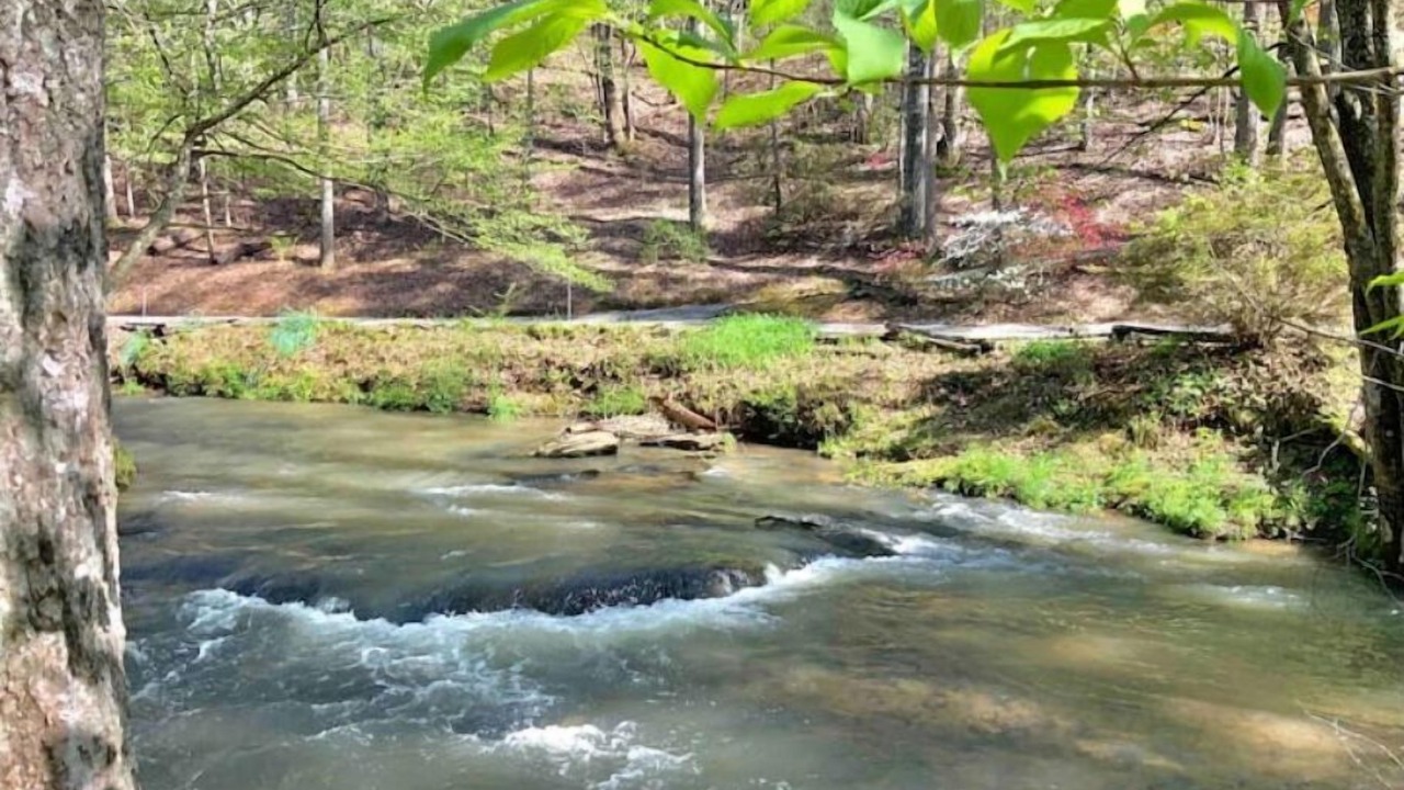 Photo of Others in Ellijay