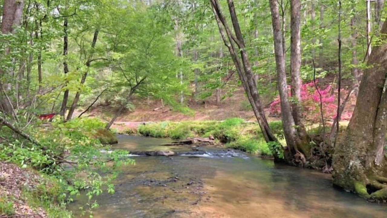 Photo of Outdoor in Ellijay