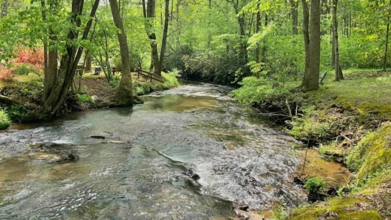 Photo of Others in Ellijay