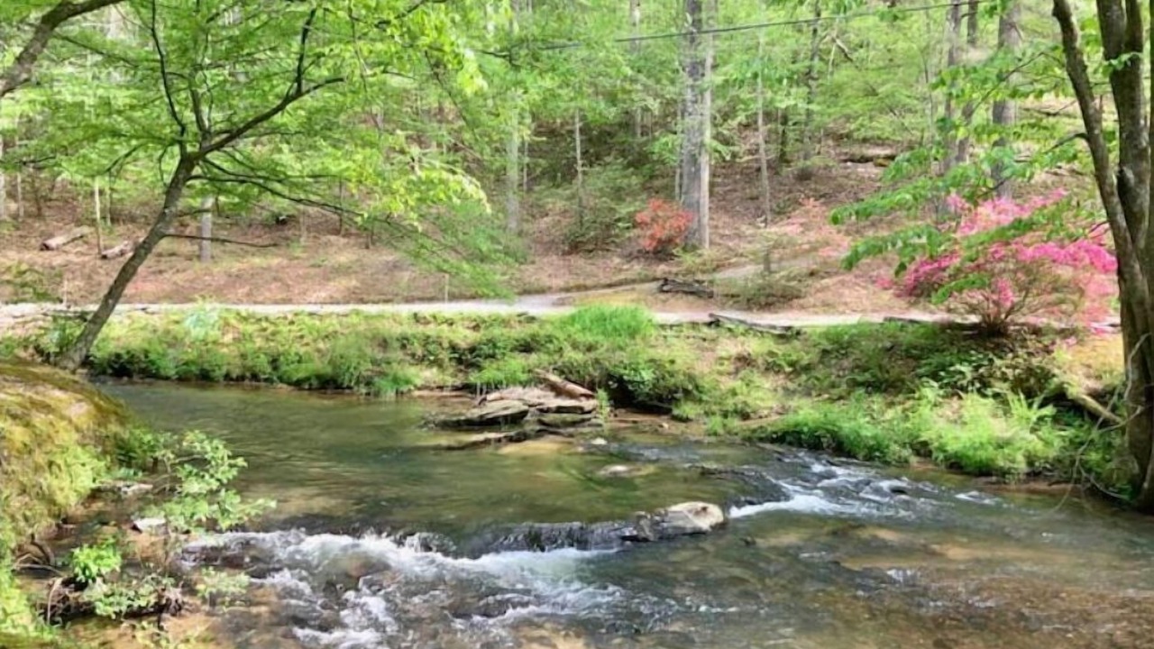 Photo of Others in Ellijay