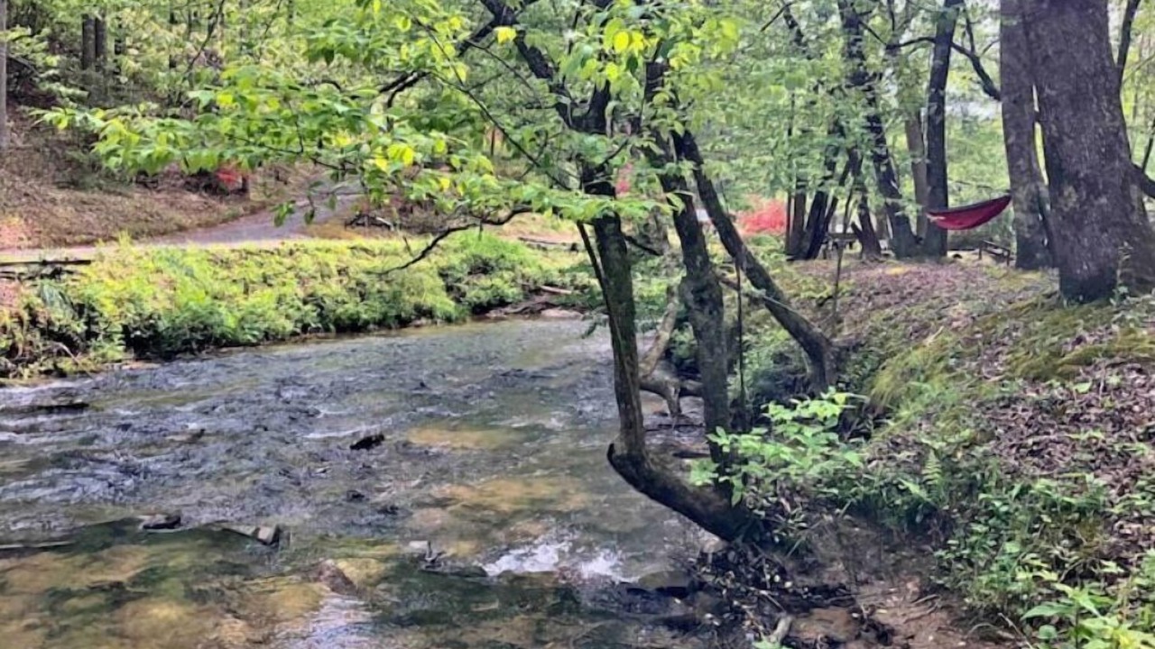 Photo of Outdoor in Ellijay