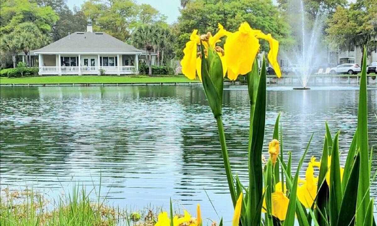 Photo of Outdoor in Demere Park