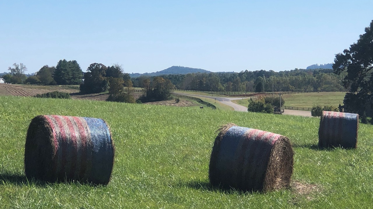 Photo of Outdoor in Rutherfordton