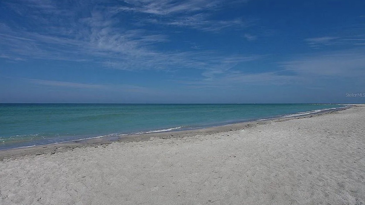 Photo of Others in Bay Isles
