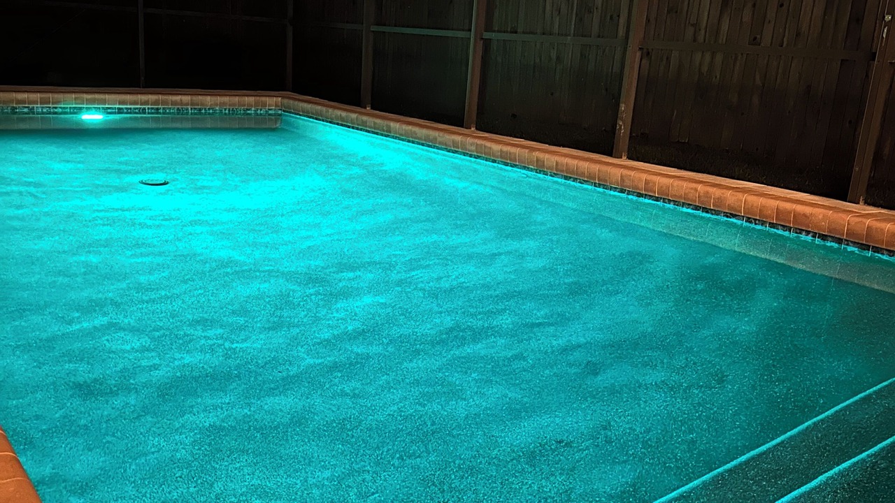 Photo of Outdoor in Lake Sarasota
