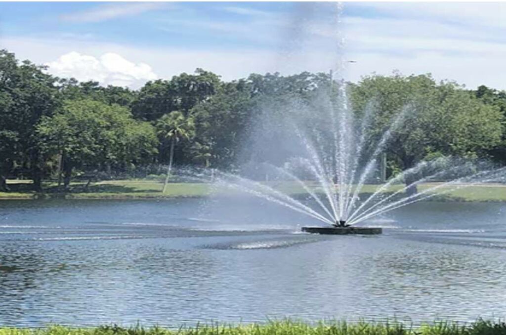 Photo of Outdoor in The Meadows