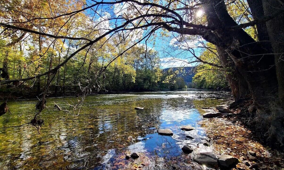 Photo of Others in Toms Brook