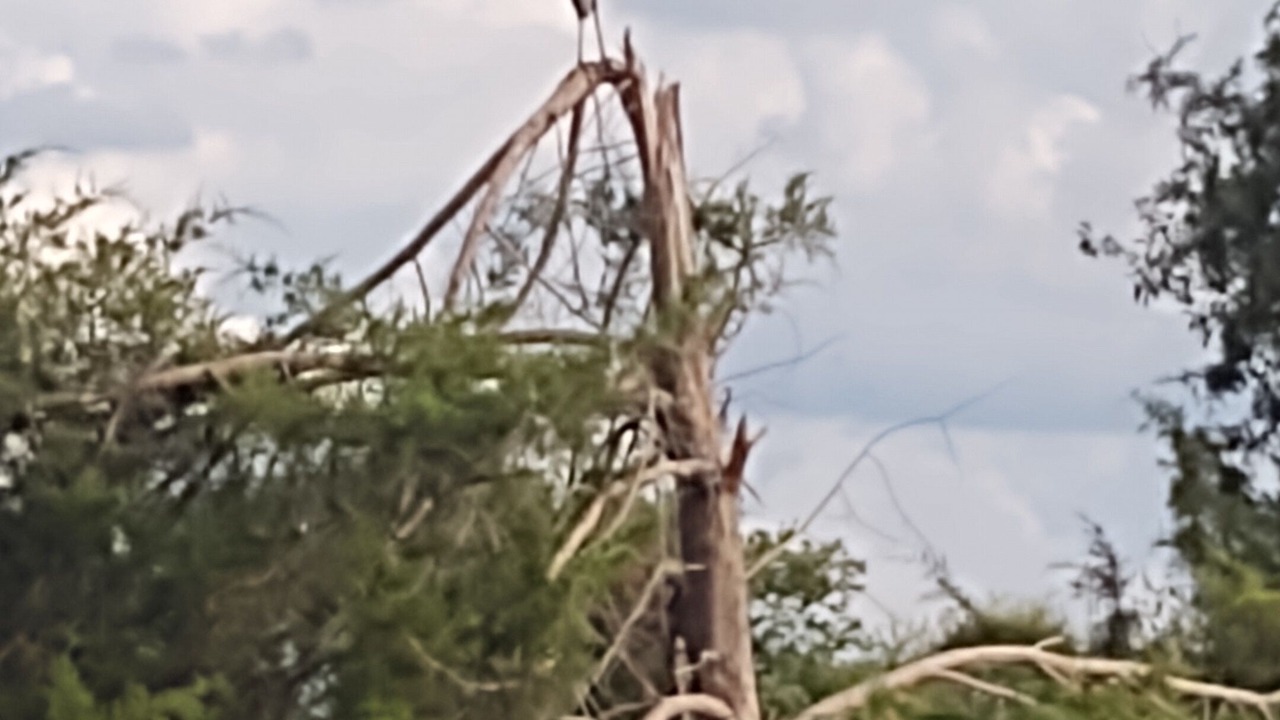 Photo of Others in Union County