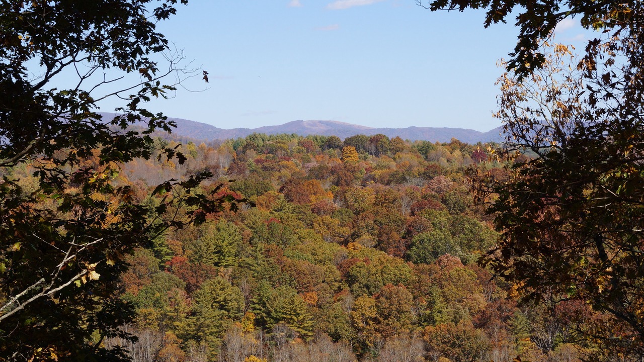 Photo of Others in Piney Creek
