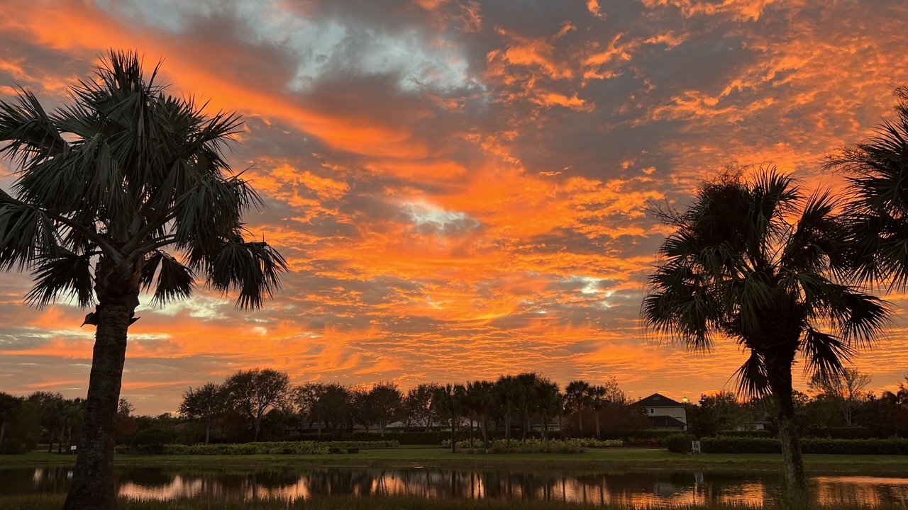 Photo of Outdoor in Bonita Springs