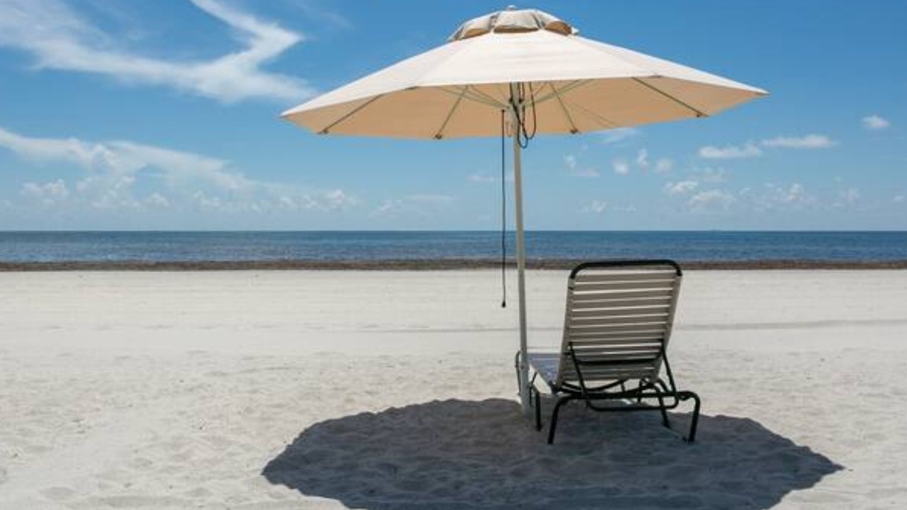 Photo of Others in Key Biscayne