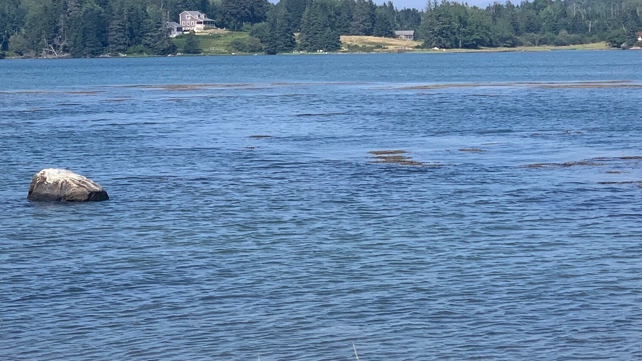 Photo of Others in Stonington