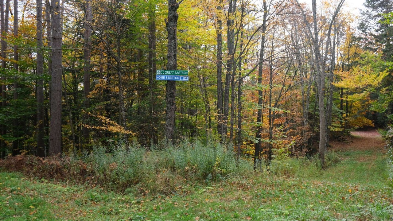 Photo of Outdoor in Killington