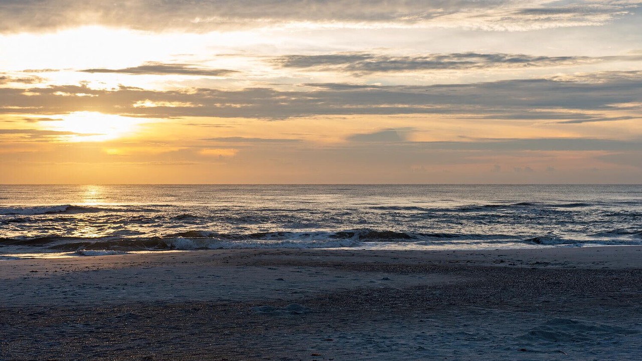 Photo of Others in St. Augustine Beach