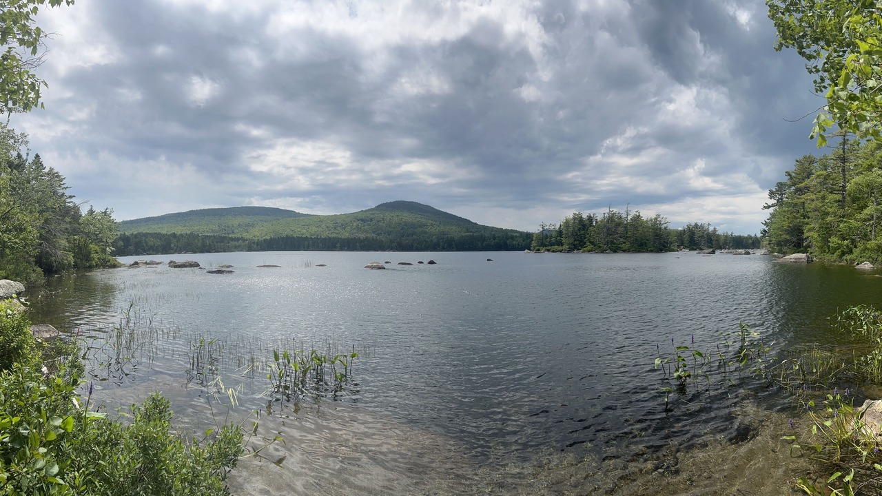 Photo of Outdoor in Dedham