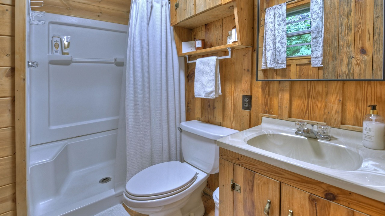 Photo of Bathroom in Blue Ridge