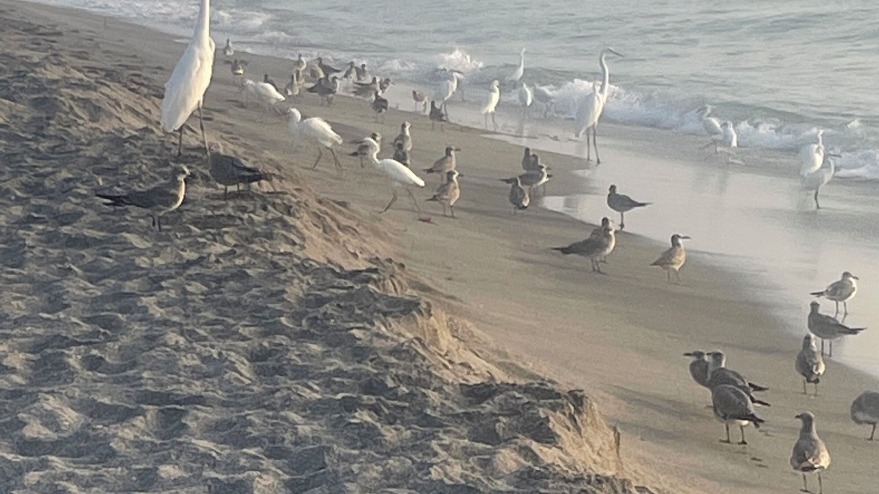 Photo of Others in Venice