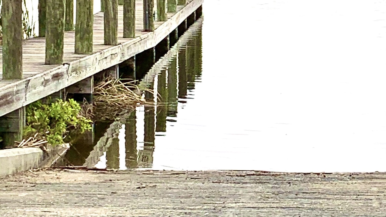 Photo of Outdoor in Rotonda Sands