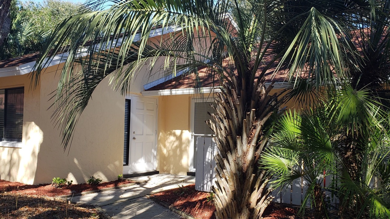 Photo of Outdoor in St. Augustine Beach