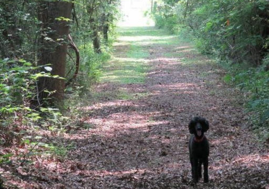 Photo of Outdoor in Alton