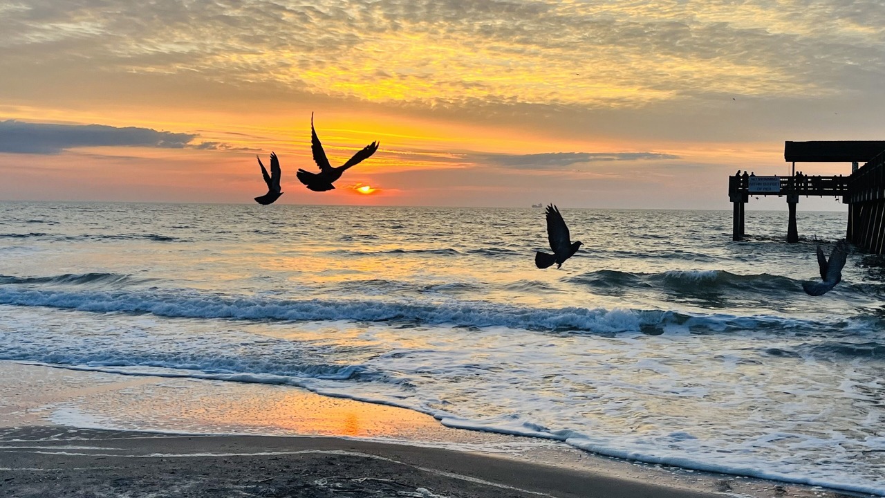 Photo of Others in Tybee Island