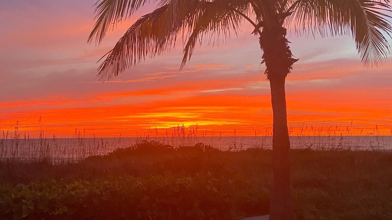 Photo of Outdoor in Longboat Key