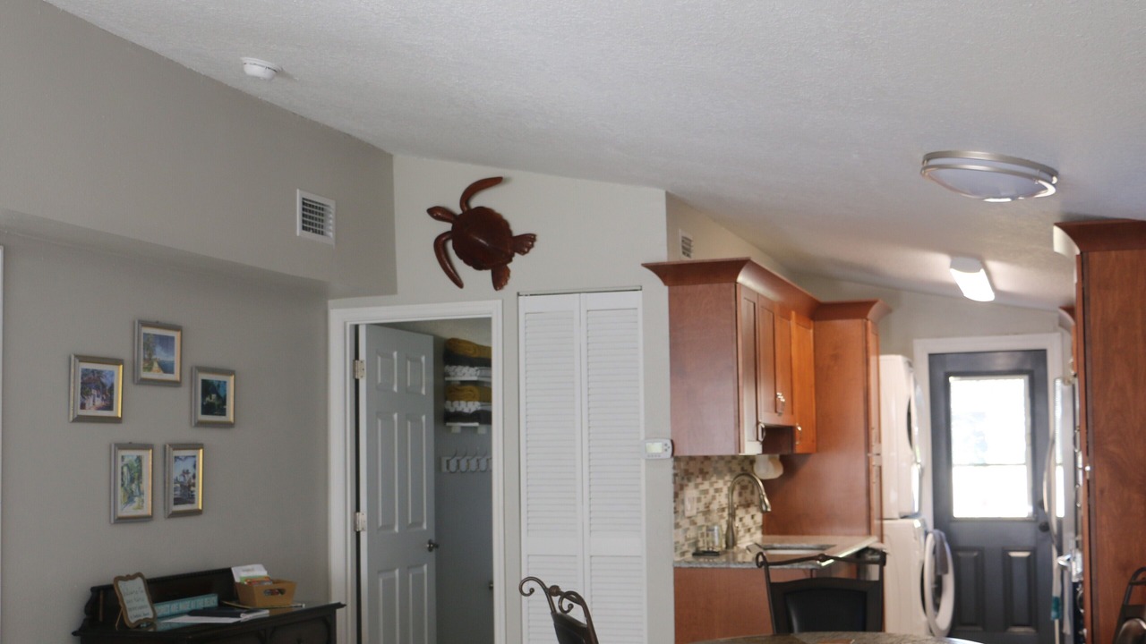 Photo of Others in St. Augustine Beach