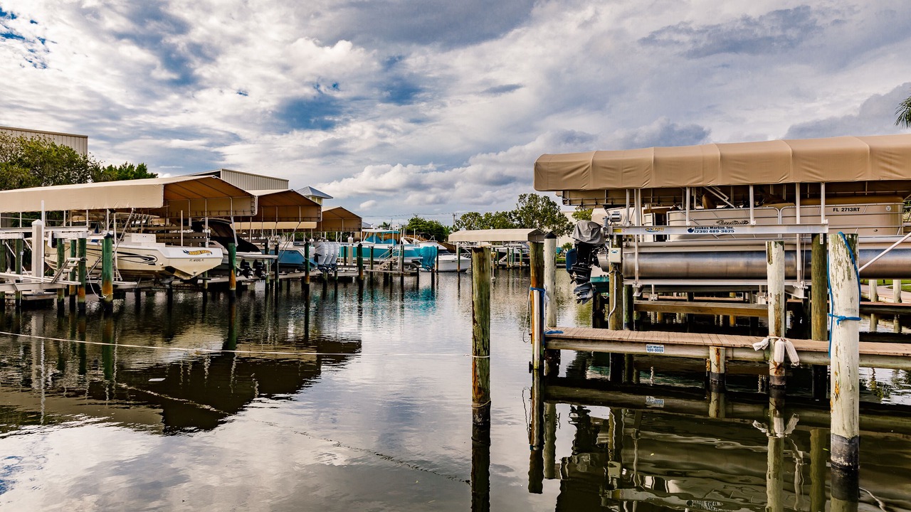 Photo of Others in South Island