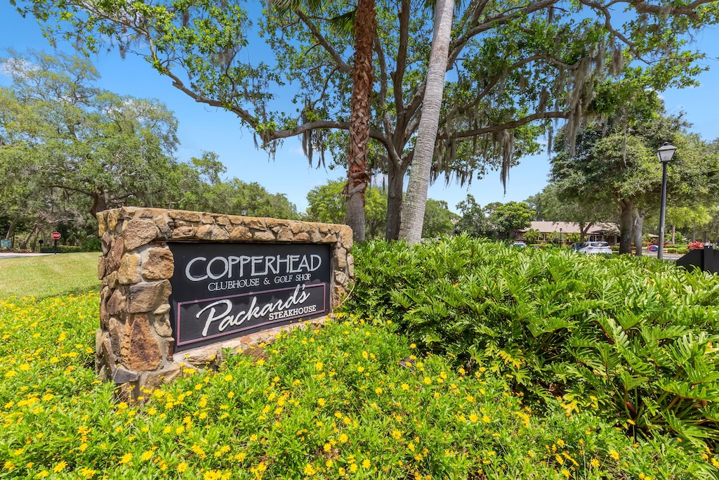 Photo of Buildings in Palm Harbor