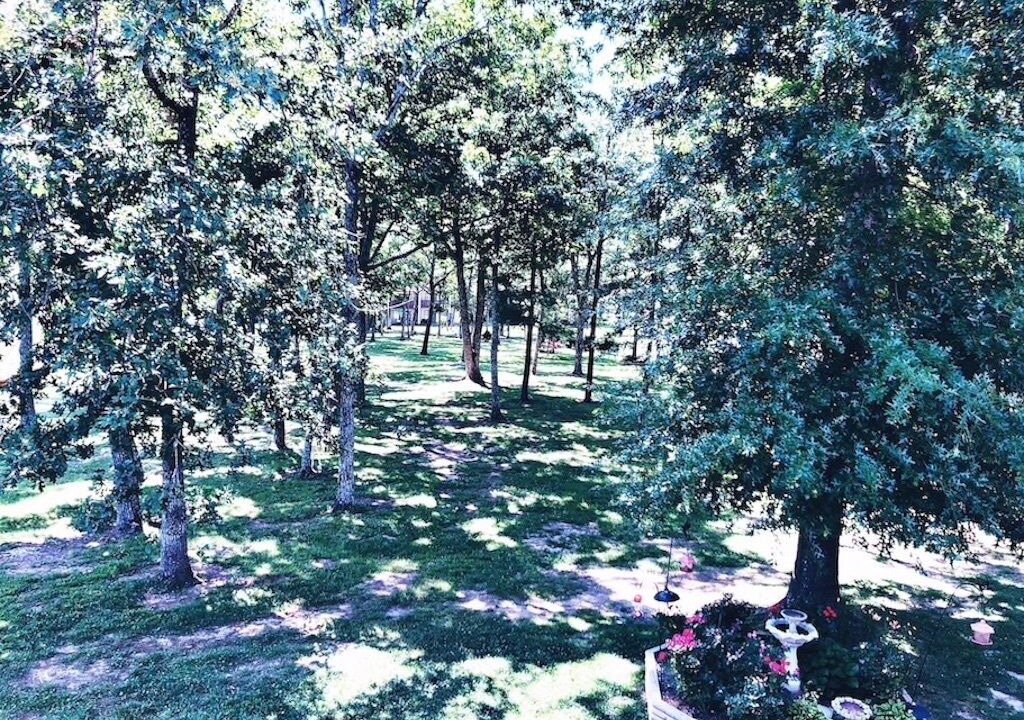 Photo of Others in Fairfield Glade