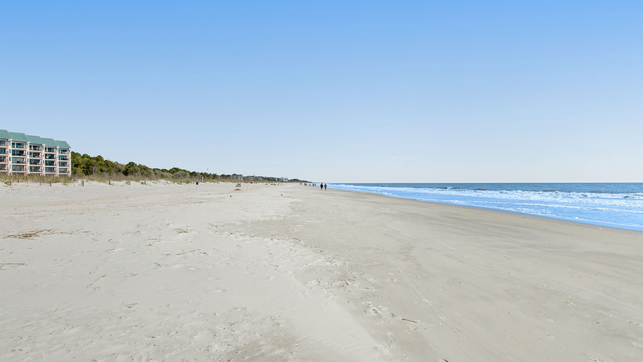 Photo of Others in Folly Field