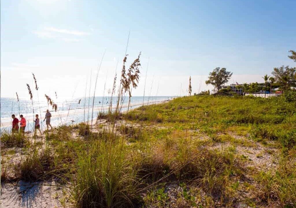 Photo of Others in Sanibel